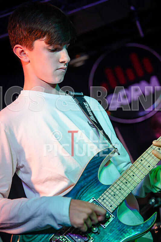 Pigeon Bomb-15 - PIGEON BOMB