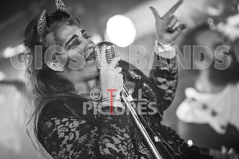 Static Alice-646 - STATIC ALICE