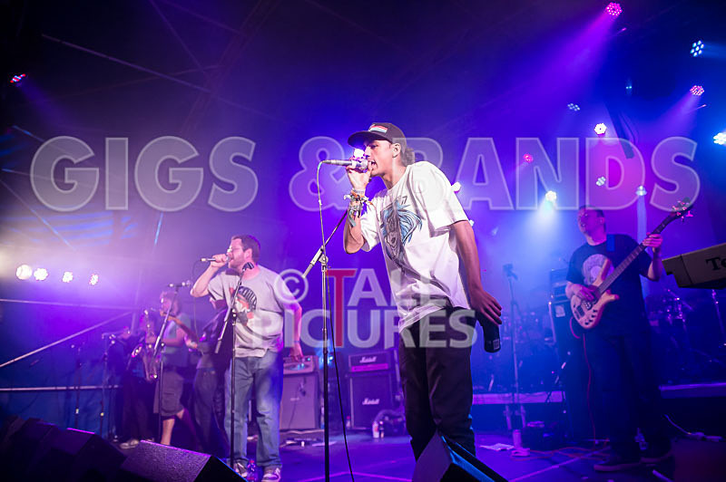 The Mouse Outfit-43 - THE MOUSE OUTFIT