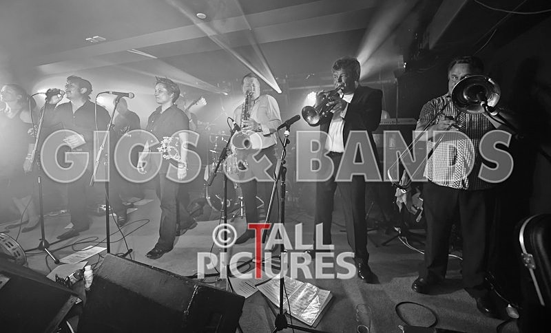 King Rat and the Soul Cats-116 - KING RAT & THE SOUL CATS