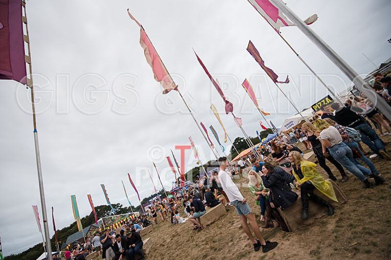 Jersey Live 2016_Scene-125 - JERSEY LIVE 2016_THE SCENE