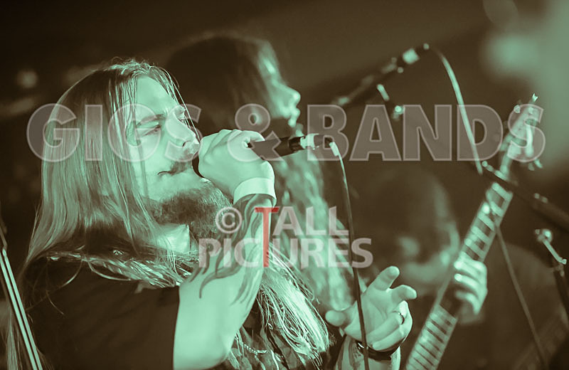 Stone Em All-229 - STONE EM ALL