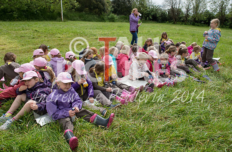 Big Brownie Birthday Party-41 - BROWNIE CENTENARY BROWNIE SLEEPOVER