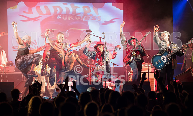 Vale Earth Fair 2017_PRESS EDIT-1 - VALE EARTH FAIR 2017_THE PRESS EDIT