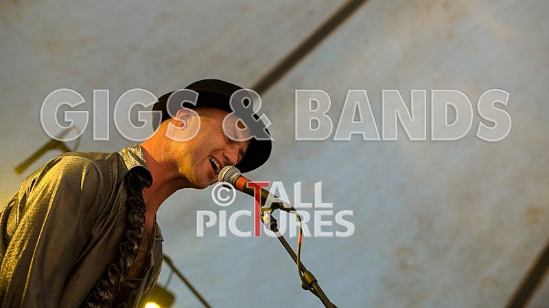 Greenman_Music-234 - GREENMAN CHAOS FESTIVAL 2008 BANDS