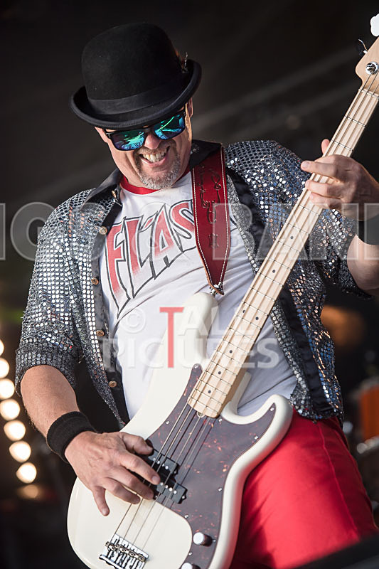 Peppered Ant Legs-249 - PEPPERED ANT LEGS