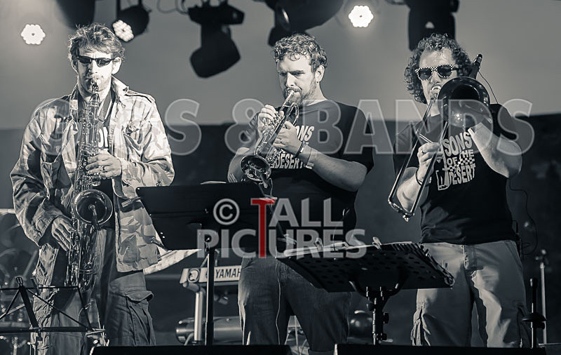 Sons of the Desert-319 - SONS OF THE DESERT