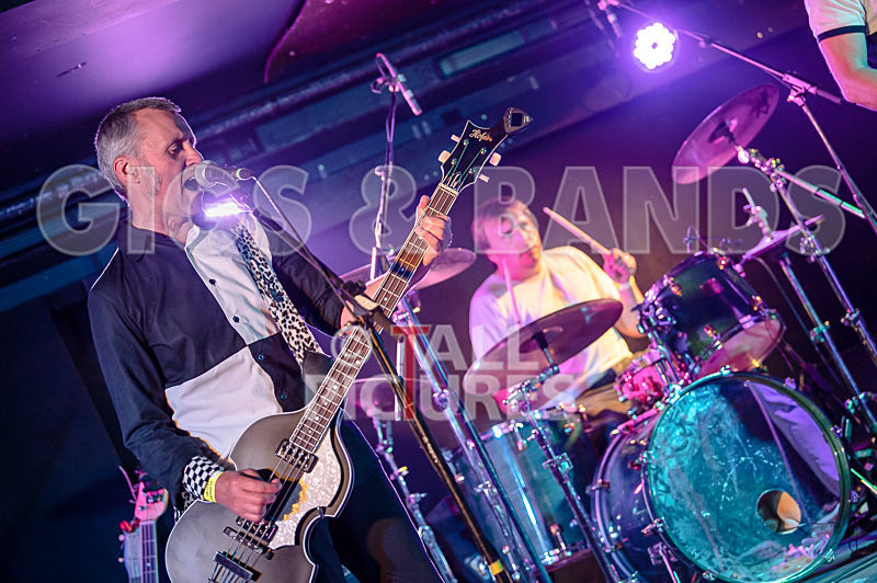 The Risk-365 - THE RISK