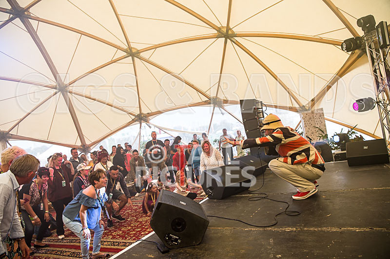 Professor Elemental-3 - PROFESSOR ELEMENTAL