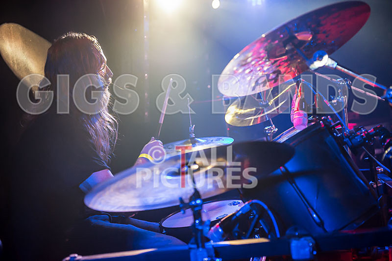 Demise of Sanity-95 - DEMISE OF SANITY