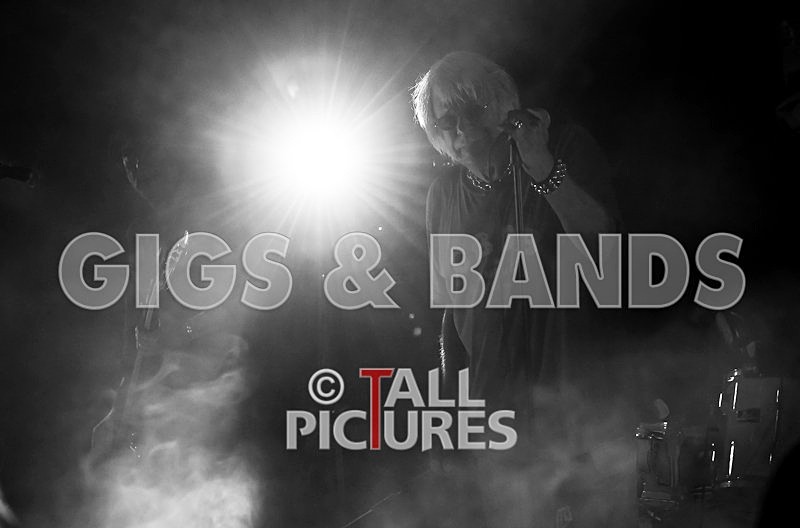 UK Subs-17 - U.K. SUBS