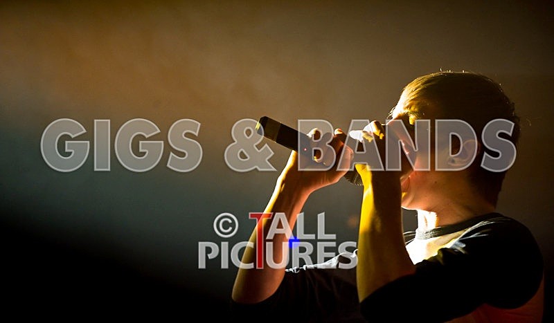 Elmer Henley-12 - ELMER HENLEY at RoA-2