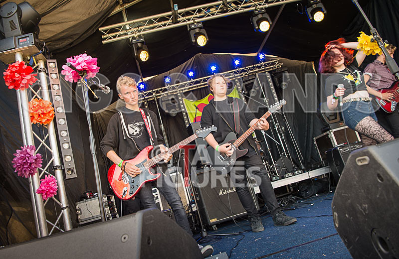 SoPM Vale Earth Fair-21 - SoPM on the VIEWALALU STAGE