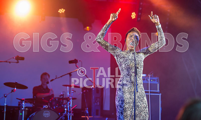 The Delegators-15 - THE DELEGATORS