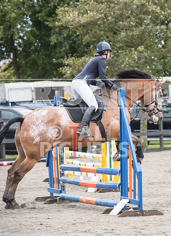 North Showjumping_2016-163 - NORTH SHOW SHOWJUMPING 2016