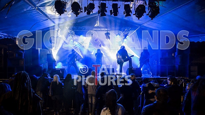 Viking Skull-38 - VIKING SKULL