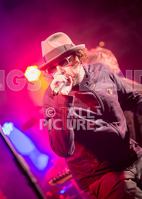 Sons of the Desert-254 - SONS OF THE DESERT