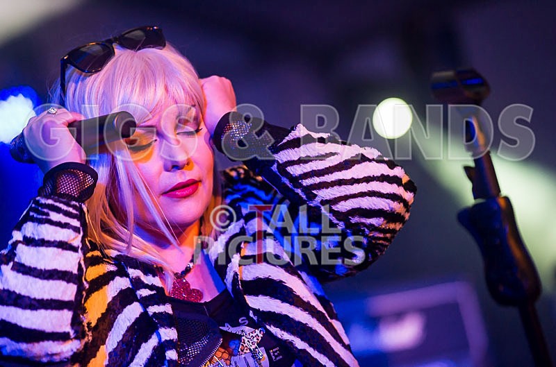 Blondied-13 - BLONDIED