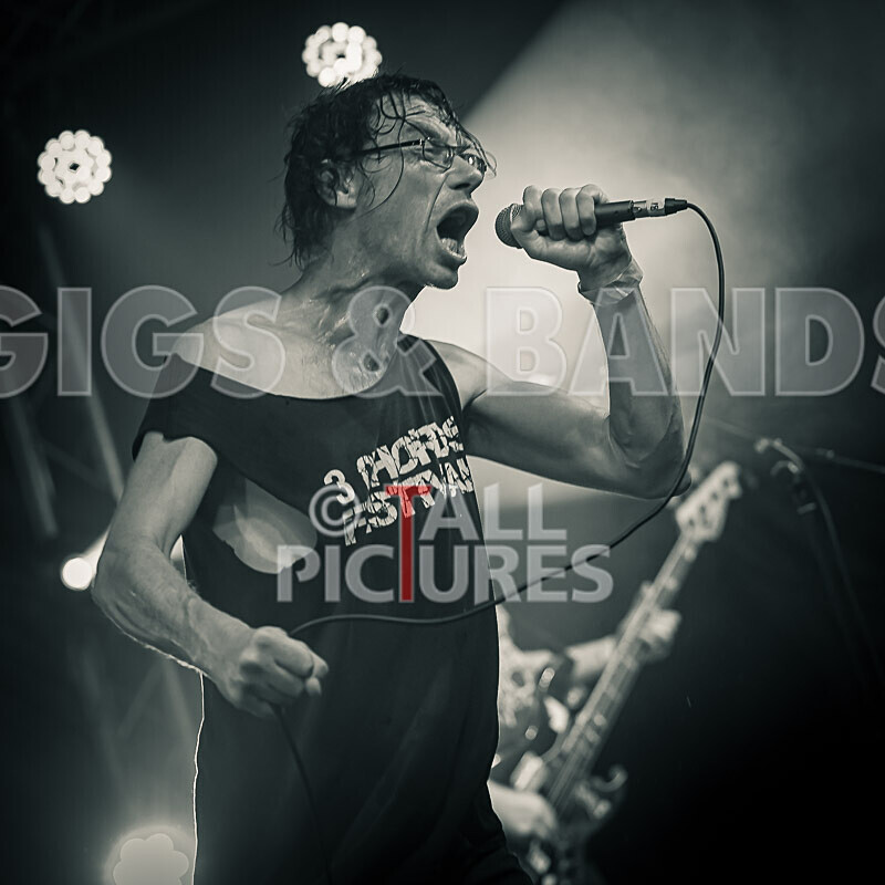 SUBHUMANS-5 - SUBHUMANS