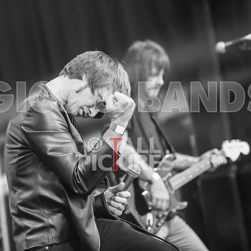 The Cryptics-74 - THE CRYPTICS