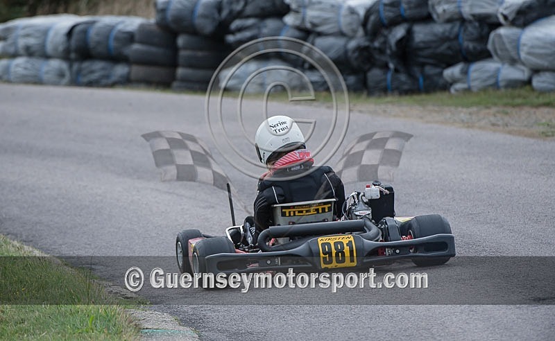 Alderney Hill Climb Kart_2013-20 - ALDERNEY HILL CLIMB 2013 - KARTS