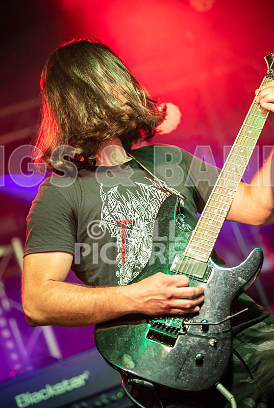 Masticated-2 - MASTICATED