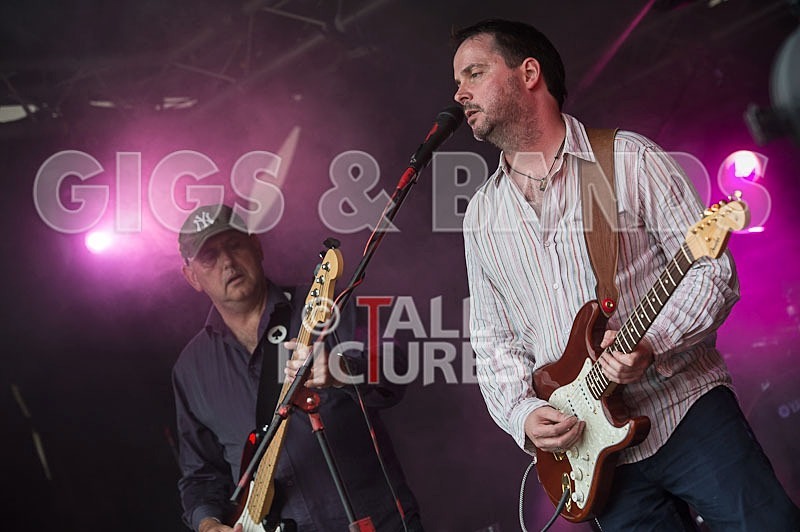 Wild Card-117 - WILD CARD