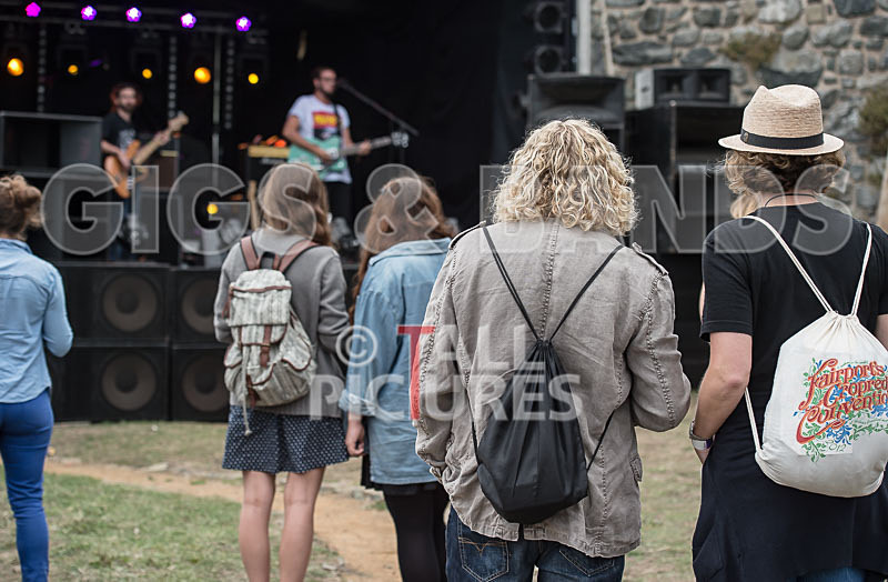 Vale Earth Fair_Atmosphere_2014-21 - VALE EARTH FAIR 2014 - THE ATMOSPHERE