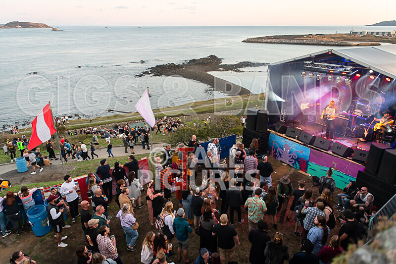 Vale Earth Fair 2020_THE SCENE-18 - VALE EARTH FAIR 2020_THE SCENE