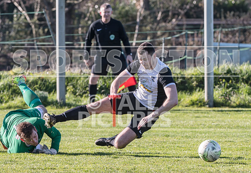 Sylvans v Saints_18-02-2017-10 - SYLVANS v SAINTS