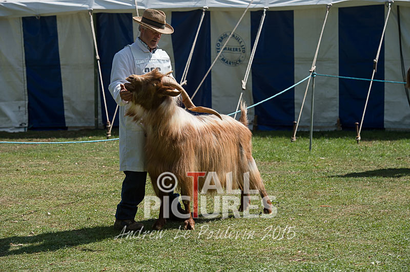 North Show_2014-16 - NORTH SHOW 2014