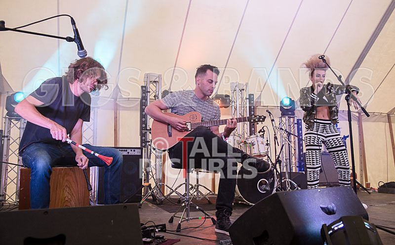 Tallia Storm-8 - TALLIA STORM