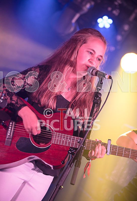 Lady and the Tramps-19 - LADY AND THE TRAMPS