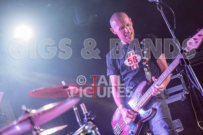 FalenizzaHorsepower-134 - FALENIZZAHORSEPOWER