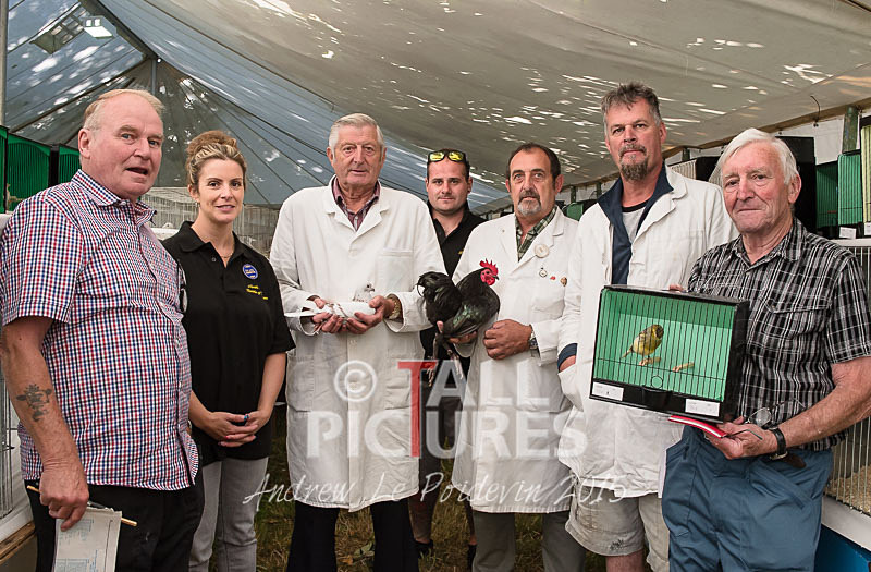 North Show_2014-10 - NORTH SHOW 2014