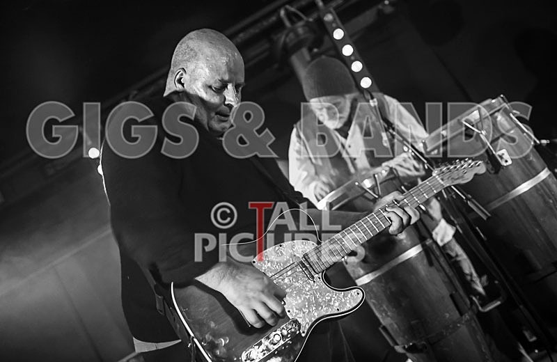 Ediths Head-30 - EDITH'S HEAD