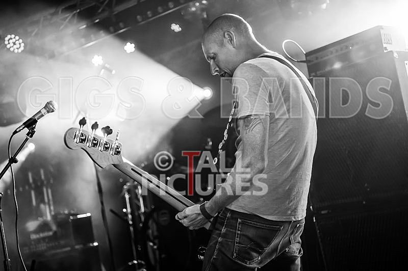 Falenizza Horsepower-79 - FALENIZZA HORSEPOWER