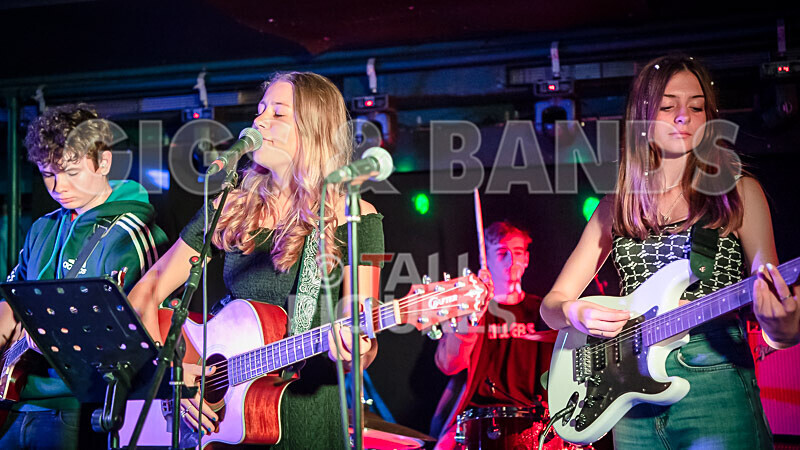 12 Gauge-24 - 12 GAUGE