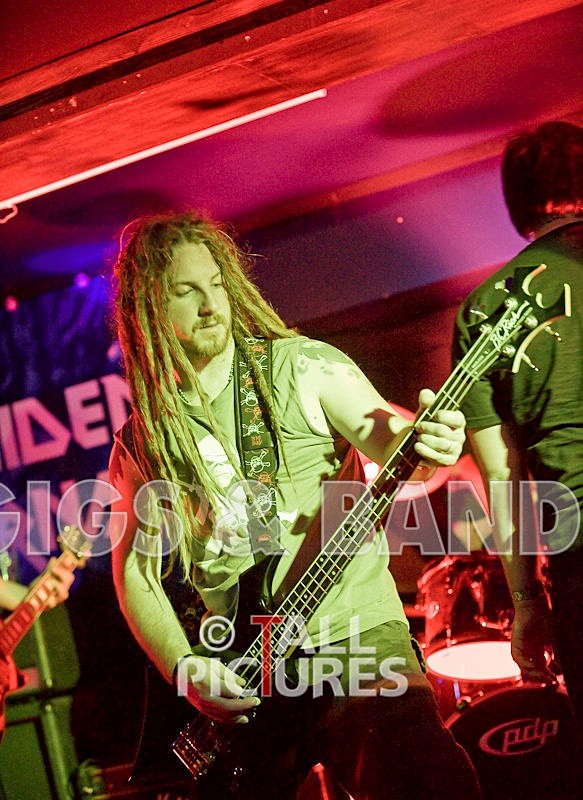 Maiden Guernsey-2 - MAIDEN GUERNSEY