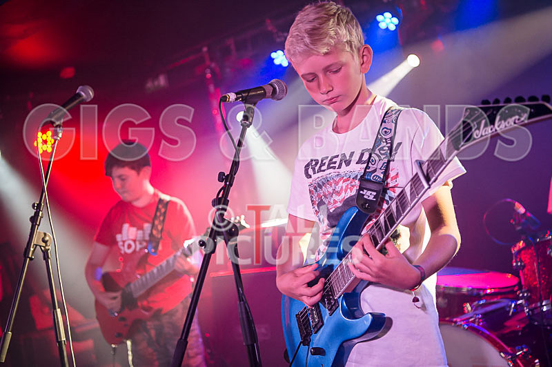 The Lemmings-25 - THE LEMMINGS