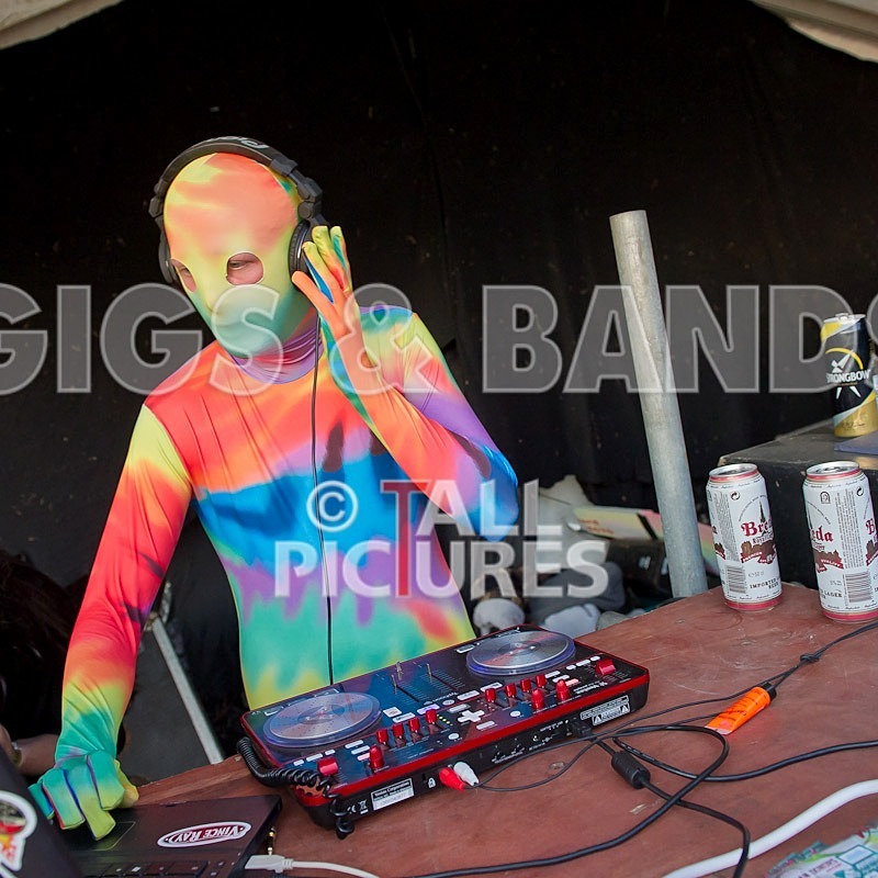 Vale Earth Fair 2011-6 - VALE EARTH FAIR 2011 - SCENE