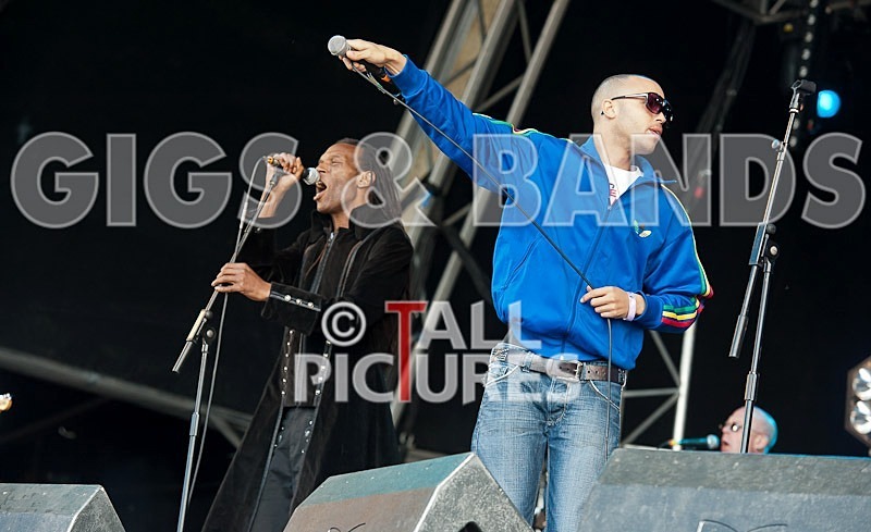 The Beat-43 - THE BEAT