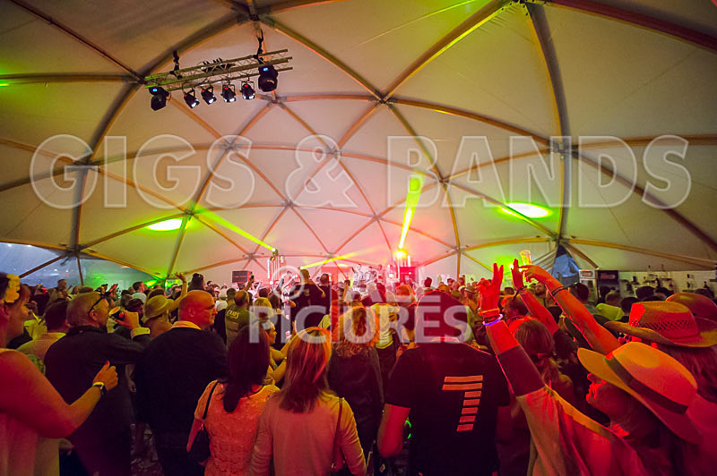 The Beat-55 - THE BEAT