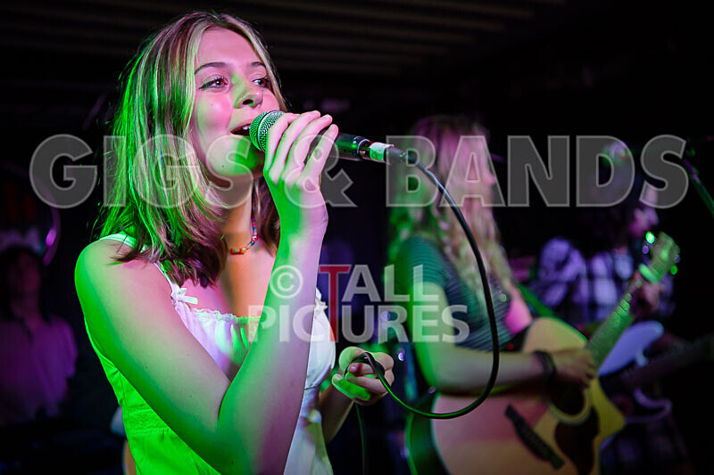 12 Gauge-74 - 12 GAUGE