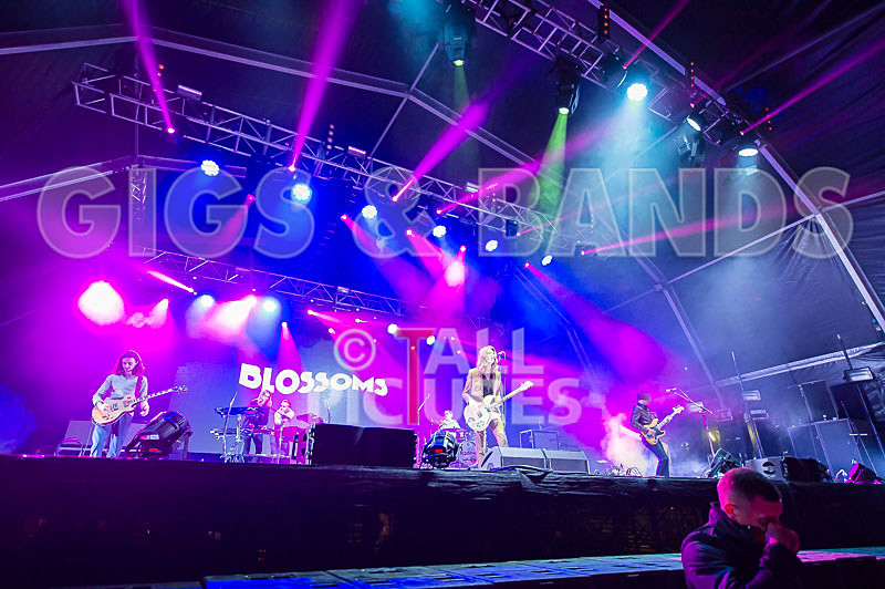 Blossoms-20 - BLOSSOMS