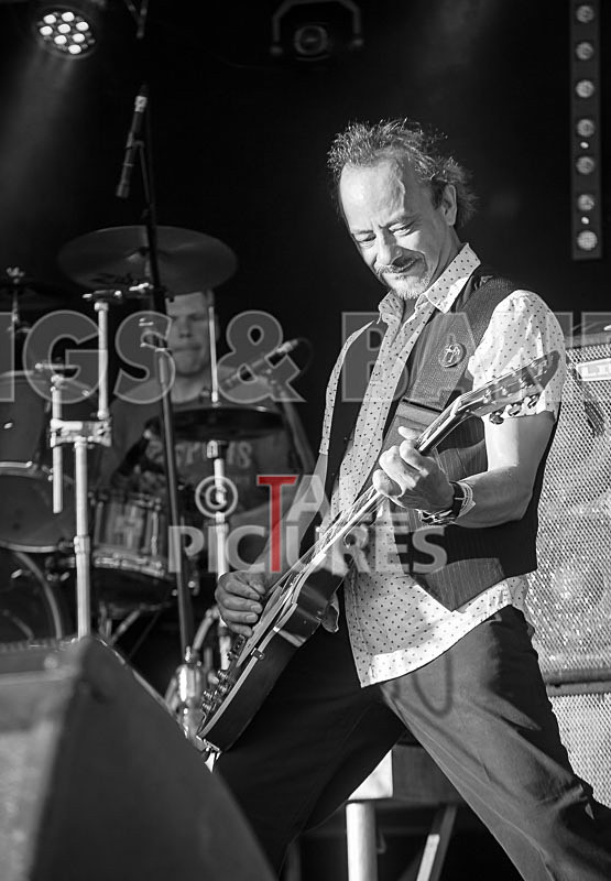 Easily Led-9 - EASILY LED