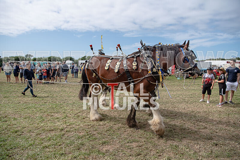 Guernsey Agricultural Show 2021-165 - GUERNSEY AGRICULTURAL SHOW 2021