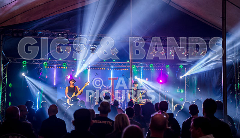 Peppered Ant Legs-242 - PEPPERED ANT LEGS