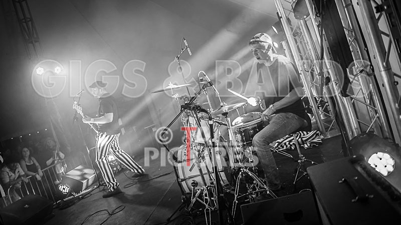 The Smooth Hounds-11 - THE SMOOTH HOUNDS