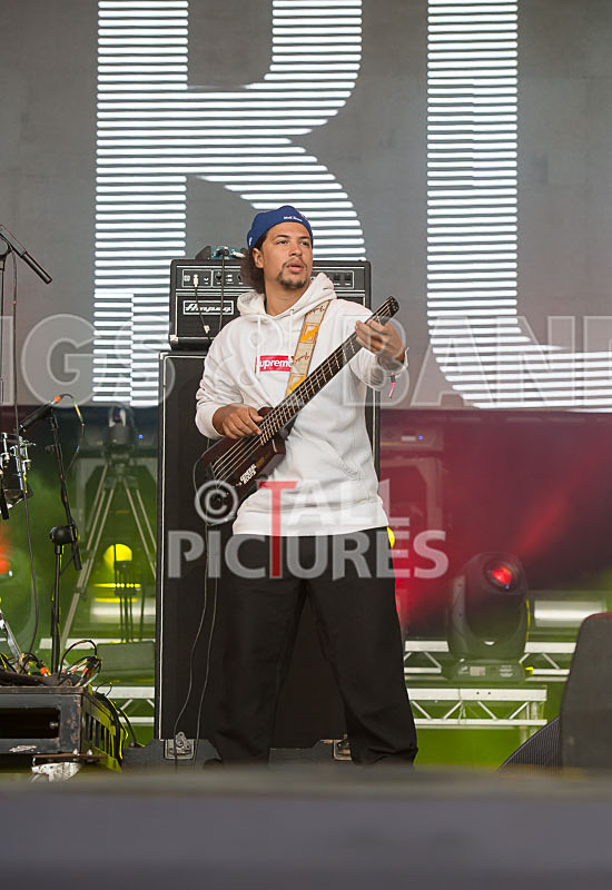 Kiko Bun-12 - KIKO BUN